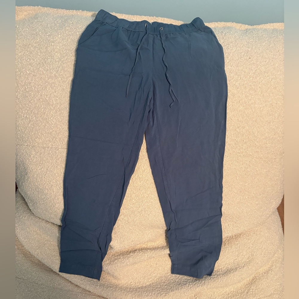LOFT Slate Blue Pants